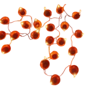 14LED String Diya Set